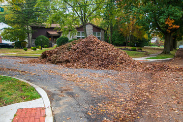 Large pile of brown leaves collected at the corner near the curb of a suburban street awaiting township removal