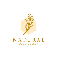 beautiful feminine brand design vector. floral/botanical icon with hand draw flower concept. beauty industry, cosmetics, salon, boutique, business symbol icon