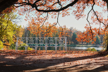 Tsarskoye Selo, St Petersburg, Russia - Bench in the autumn park on the banks of the pond on a...