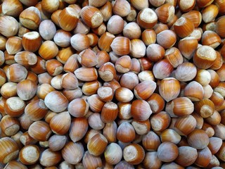 background of hazelnuts