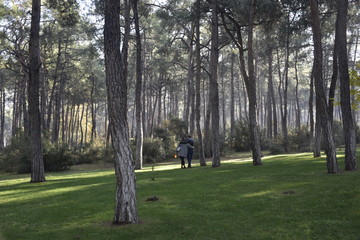 Obraz premium young couple in the forest