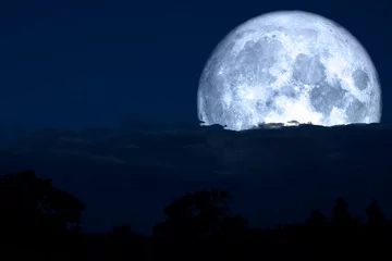 Stickers pour porte Pleine Lune arbre pleine lune de carême de retour sur le nuage de silhouette et la montagne sur le ciel nocturne