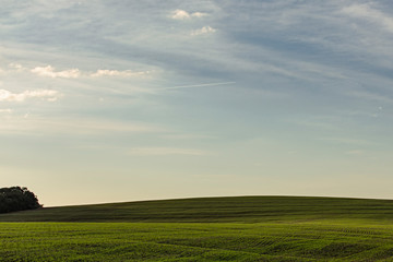 Landscape Sunset Green