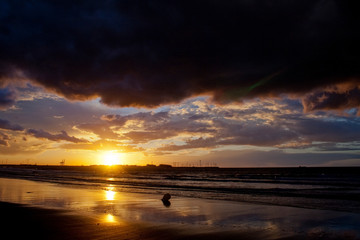 Obraz premium Reflecting sunset on a sandy beach.