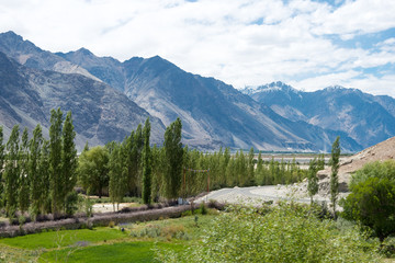 Ladakh, India - Jul 22 2019 - Beautiful scenic view from Nubra Valley in Ladakh, Jammu and Kashmir, India.