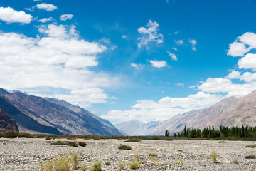 Ladakh, India - Jul 22 2019 - Beautiful scenic view from Nubra Valley in Ladakh, Jammu and Kashmir, India.
