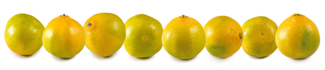 Isolated image of orange close up