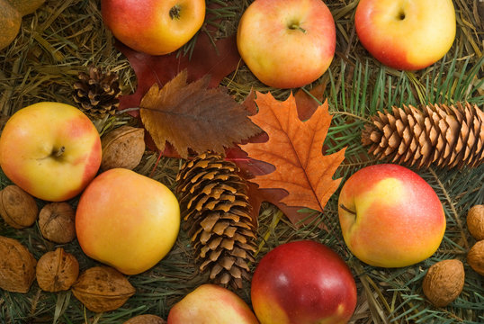 Image of pumpkin, apples and walnuts closeup