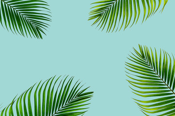 Fototapeta na wymiar Creative flat lay top view of green tropical palm leaves millennial pink paper background with pineapples copy space. Minimal tropical palm leaf plants summer concept template for your text or design