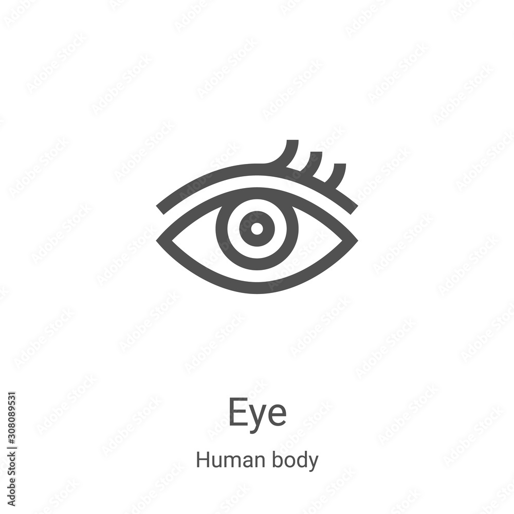 Wall mural eye icon vector from human body collection. Thin line eye outline icon vector illustration. Linear symbol for use on web and mobile apps, logo, print media