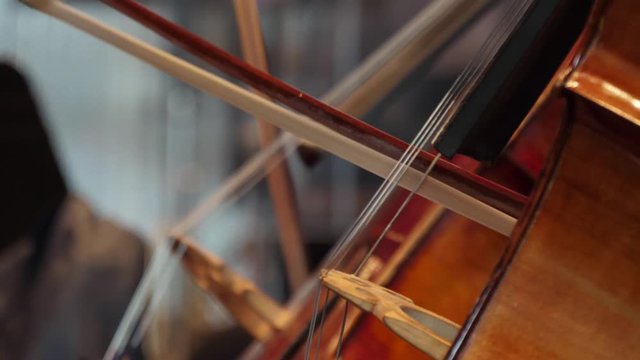 violoncello cellist playing cello in orchestra 4k