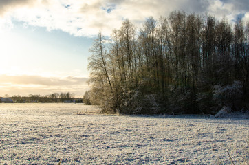 A snowy field and forest landscape