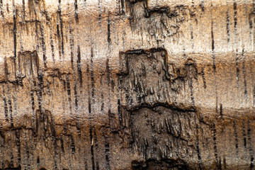 Old distressed wood grain board background .