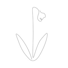 Spring flowers continuous line drawing. Vector illustration	