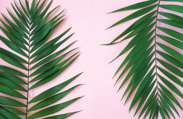 tropical green palm leaves, branches pattern frame on a pink background. top view.copy space.abstract.