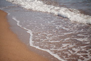 Sea waves hit the shore