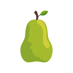 Pear design, Fruit healthy organic food sweet and nature theme Vector illustration
