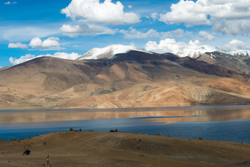 Ladakh, India - Jul 30 2019 - Tso Moriri Lake in Changthang Plateau, Ladakh, Jammu and Kashmir, India. It is part of Ramsar Convention - Tsomoriri.