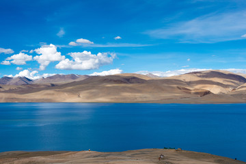 Ladakh, India - Jul 30 2019 - Tso Moriri Lake in Changthang Plateau, Ladakh, Jammu and Kashmir, India. It is part of Ramsar Convention - Tsomoriri.