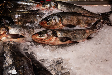 Close up of fresh fish on ice for sale at food market stock photo