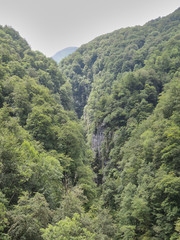 Fototapeta na wymiar The Gorges d'Holzarte in the French Pyrenees