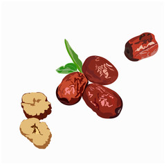 Vector stock illustration on isolated white background plant from The Book of Songs Sour Jujube Sliced dried jujube chinese red date asian herbal fruit for healthy and leaves ripe dried Jujube berry 