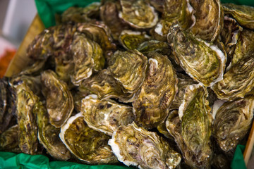 Fresh snails in Paris restaurant