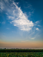 Obraz na płótnie Canvas green field and blue sky with wonderful cloud