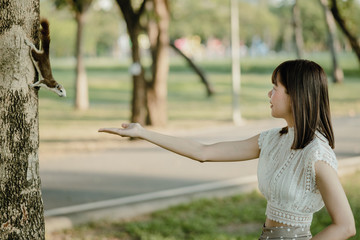 Naklejka premium young asian smiling woman in white clothes handed the nuts to the brown squirrel standing on the tree found accidentally while strolling in the park on background of nature