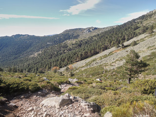 Autumn in the valley of La Barranca in the Sierra de Guadarrama National Park. Madrid's community. Spain