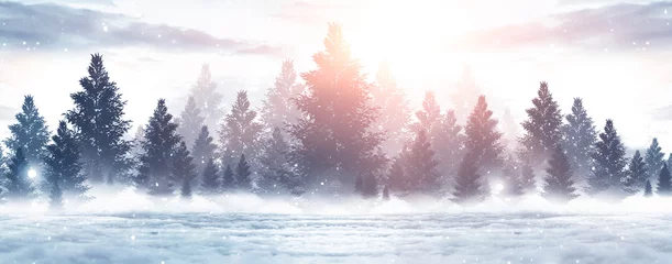 Foto op Plexiglas Winter abstract landschap. Zonlicht in het winterbos. © MiaStendal