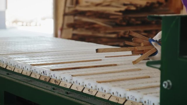 Worker arranges wooden slats for further cutting on the machine. 4k. Slow motion
