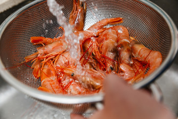 lavar gamba roja fresca para cocinar