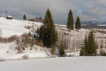 Beautiful winter in Carpathian mountains.