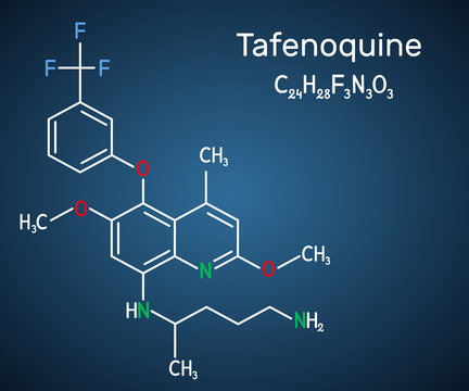 Tafenoquine drug molecule. It is used to prevent and to treat malaria. Structural chemical formula on the dark blue background