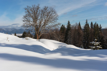 Beautiful winter in Carpathian mountains.