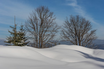 Beautiful winter in Carpathian mountains.