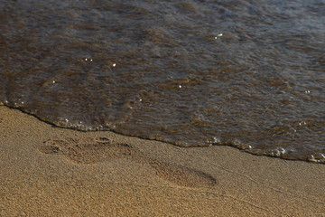 Fototapeta na wymiar Beach, sand, barefoot footprint, water washes away trace
