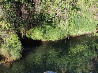 The Borosa River as it passes through the Cerrada de Elías in the Natural Park of the Sierra de Cazorla, Segura and Las Villas. In Jaén, Andalusia. Spain