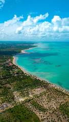 Fototapeta na wymiar Praia Natureza Drone Coqueiros Litoral Maceió Alagoas Brasil