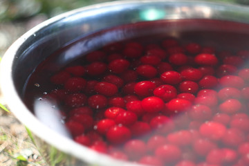 red ripe cherry washing