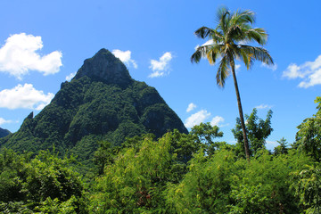 Fototapeta na wymiar View of the Pitons, the mountains on the rim of a caldera volcano, St. Lucia, West Indies
