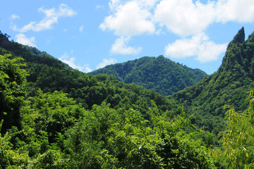 Obraz premium view of mountains, St. Lucia, West Indies