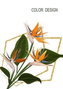 Wedding Invitation With Strelitzia  Flowers. Vector Watercolor.  Vector Illustration.