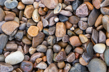 Pebble and shell textures on the beach