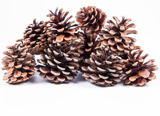 Pile of pine cones on a white background
