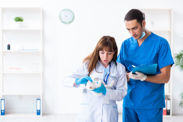 Two young vet doctors examining sick cat