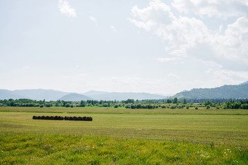 Vivid green scenery with big beautiful mowed field in sunlight. Wonderful scenic landscape with hay rolls in green field with view to mountains on distance in sunny day. Haymaking on vastness field.