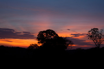 Sunset  behind a tree in Minas Gerais.