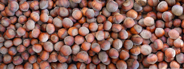 Natural background made from hazelnut, healty food. photo wallpaper.
